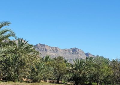 Immersion berbère à Tamnougalt