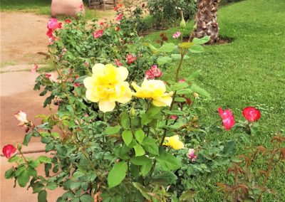 Marrakech et Ourika « Côté jardins »